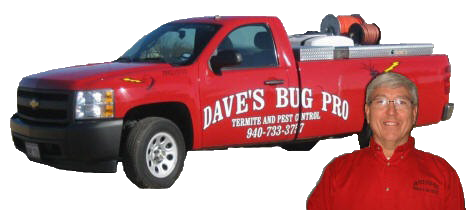 Daves bug pro truck and owner